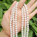 Adabele Natural AAA Grade Round Pearl Beads, White Cultured Freshwater Pearls, 8- 9mm, 1 Strand/14 Inch, FPA-89