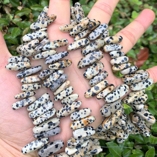 Natural Dalmatian Jasper Gemstone Stick Point Beads, Irregular, 7mm-23mm Long, Hole ID 1mm 1 Strand/15 Inch, GZ5-20