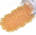 25g Miyuki Rocaille 11/0 Round Seed Beads Rainbow Light Topaz RR-251