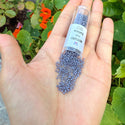 30g Miyuki Delica 11/0 Seed Beads, Opaque Matte Glazed Thistle DB2292