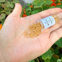 7.5g Miyuki Delica 11/0 Seed Beads, Transparent Silver-Lined Gold DB42