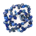 Natural Blue Lapis Lazuli Gemstone Petal Keishi Beads, Irregular, 10mm-20mm, Hole ID 1mm, 1 Strand/15 Inch, GZ6-46
