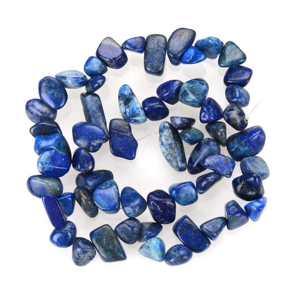 Natural Blue Lapis Lazuli Gemstone Petal Keishi Beads, Irregular, 10mm-20mm, Hole ID 1mm, 1 Strand/15 Inch, GZ6-46