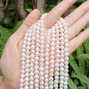 Adabele Natural AAA Grade Round Pearl Beads, White Cultured Freshwater Pearls, 6-7mm, 1 Strand/14 Inch, FPA-67