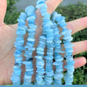 Natural Blue Aquamarine Gemstone Flat Coin Chip Beads, Irregular, 7mm-10mm, Hole ID 1mm, 15 Inch/1 Strand, GZ7-6