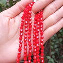 250pcs Creative Club Faceted Bicone Crystal Glass Beads, Coral red, 6mm (0.24 Inch), Hole ID 1mm, CCB635