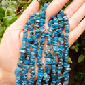 Natural Blue Apatite Gemstone Chip Beads, Free Form, 5mm-8mm, Hole ID 1mm, 1 Strand/31 Inch, GZ1-26