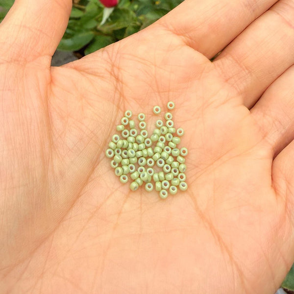 25g Miyuki Rocaille 11/0 Round Seed Beads Duracoat Opaque Fennel RR-4473