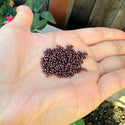 50g Miyuki Rocaille 11/0 Round Seed Beads Opaque Metallic Bronze RR-457B