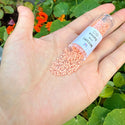 7.5g Miyuki Delica 11/0 Seed Beads, Duracoat Opaque Tea Rose (Pink) DB2111