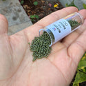 7.5g Miyuki Delica 11/0 Seed Beads, Duracoat Opaque Dyed Olive DB2357