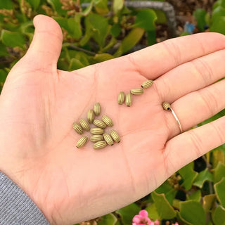 100pcs Corrugated Oval Melon Beads, Antique Bronze Plated Brass, Size Selections: 7x4mm, 10x6mm, 12x8mm