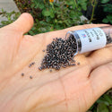 7.5g Miyuki Delica 11/0 Seed Beads, Transparent Copper-Lined Grey DB184