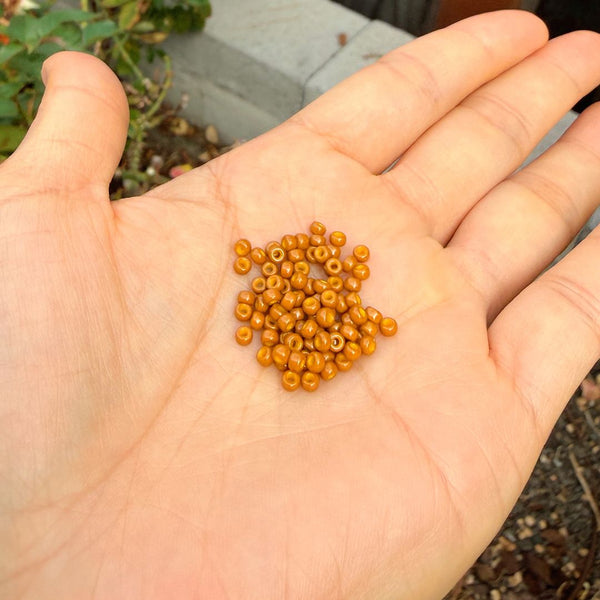 25g Miyuki Rocaille 8/0 Round Seed Beads Duracoat Opaque Toast RR-4460