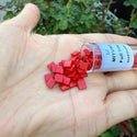 10g Miyuki Full Tila Square Seed Beads 5x5mm, Opaque Red (TL-408)