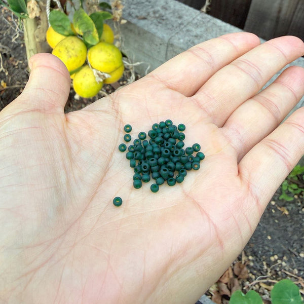 25g Miyuki Rocaille 8/0 Seed Beads Translucent Matte Emerald Green RR-156F