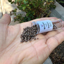30g Miyuki Delica 11/0 Seed Beads, Opaque Metallic Dark Bronze DB22