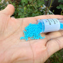 30g Miyuki Delica 11/0 Seed Beads, Opaque Matte Turquoise Blue DB755
