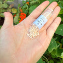 7.5g Miyuki Delica 11/0 Seed Beads Opaque Glazed Luster Light Caramel DB205