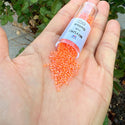 30g Miyuki Delica 11/0 Seed Beads, Translucent Luminous Dyed Orange DB2047