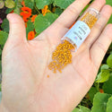 30g Miyuki Delica 11/0 Seed Beads, Duracoat Opaque Hawthorne DB2106