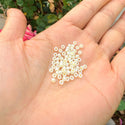 50g Miyuki Rocaille 8/0 Seed Beads Opaque Butter Cream Alabaster RR-527