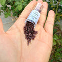 7.5g Miyuki Delica 11/0 Seed Beads, Opaque Metallic Dark Raspberry DB12