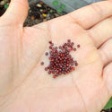50g Miyuki Rocaille 11/0 Round Seed Beads Opaque Picasso Red RR-4513