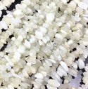 Natural White Moonstone Gemstone Chip Beads, Free Form, 5mm-8mm, Hole ID 1mm, 1 Strand/31 Inch, GZ1-37