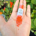 7.5g Miyuki Delica 11/0 Seed Beads, Opaque Orange DB722