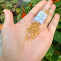 7.5g Miyuki Delica 11/0 Seed Beads, Transparent Silver-Lined Gold DB42