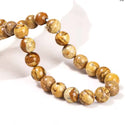 Natural Picture Jasper Gemstone Round Beads, 15 Inch/1 Strand, Size Selections: 4mm/6mm/8mm/10mm
