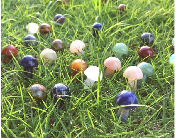 4pcs Natural Black Obsidian Hand Carved Mushroom Gemstone, 20mm Loose Cut Stones, G3P-B6