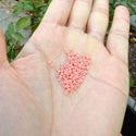 25g Miyuki Rocaille 11/0 Seed Beads Duracoat Opaque Dark Salmon RR-4462