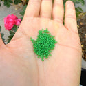 25g Miyuki Rocaille 15/0 Round Seed Beads Opaque Green RR-411