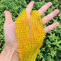 100pcs Creative Club Faceted Cube Crystal Glass Beads, Topaz Yellow , 6mm, Hole ID 1mm, CCC609