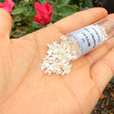 10g Miyuki Quarter Tila Seed Bead 5x1.2mm Ceylon Antique Ivory Pearl QTL592