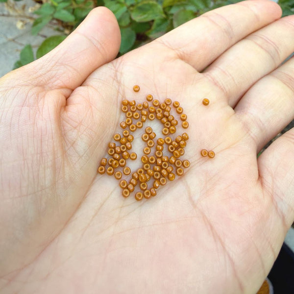 25g Miyuki Rocaille 11/0 Round Seed Beads Duracoat Opaque Toast RR-4460
