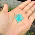 25g Miyuki Rocaille 8/0 Round Seed Beads Opaque Aqua Green Alabaster RR-536