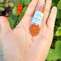 30g Miyuki Delica 11/0 Seed Beads, Opaque Matte Glazed Persimmon DB2287