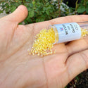 7.5g Miyuki Delica 11/0 Seed Beads, Yellow-Lined Rainbow Crystal Clear DB53