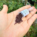 30g Miyuki Delica 11/0 Seed Beads, Opaque Metallic Dark Raspberry DB12