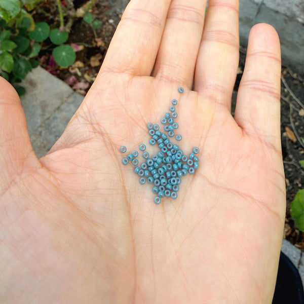 25g Miyuki Rocaille 11/0 Round Seed Bead Duracoat Opaque Eucalyptus RR-4481