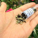 10g Miyuki Half Tila Seed Beads 5x2.3mm, Luster Olive Green (HTL-306)