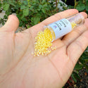 30g Miyuki Delica 11/0 Seed Beads, Yellow-Lined Rainbow Crystal Clear DB53