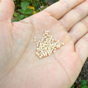 25g Miyuki Rocaille 11/0 Round Seed Beads Opaque Rainbow Pear RR-488