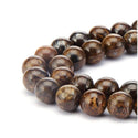 Natural Brown Bronzite Gemstone Round Beads, 1 Strand/15 Inch, Size Selections: 4mm/6mm/8mm/10mm