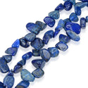 Natural Blue Lapis Lazuli Gemstone Petal Keishi Beads, Irregular, 10mm-20mm, Hole ID 1mm, 1 Strand/15 Inch, GZ6-46