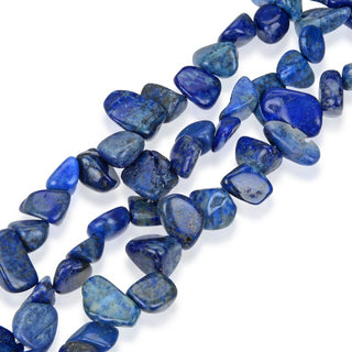 Natural Blue Lapis Lazuli Gemstone Petal Keishi Beads, Irregular, 10mm-20mm, Hole ID 1mm, 1 Strand/15 Inch, GZ6-46