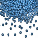 25g Miyuki Rocaille 8/0 Seed Beads Duracoat Opaque Dyed Juniper RR-4485